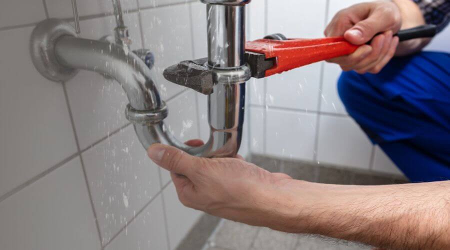 Professional Leak Detection services in Crab Orchard, NE